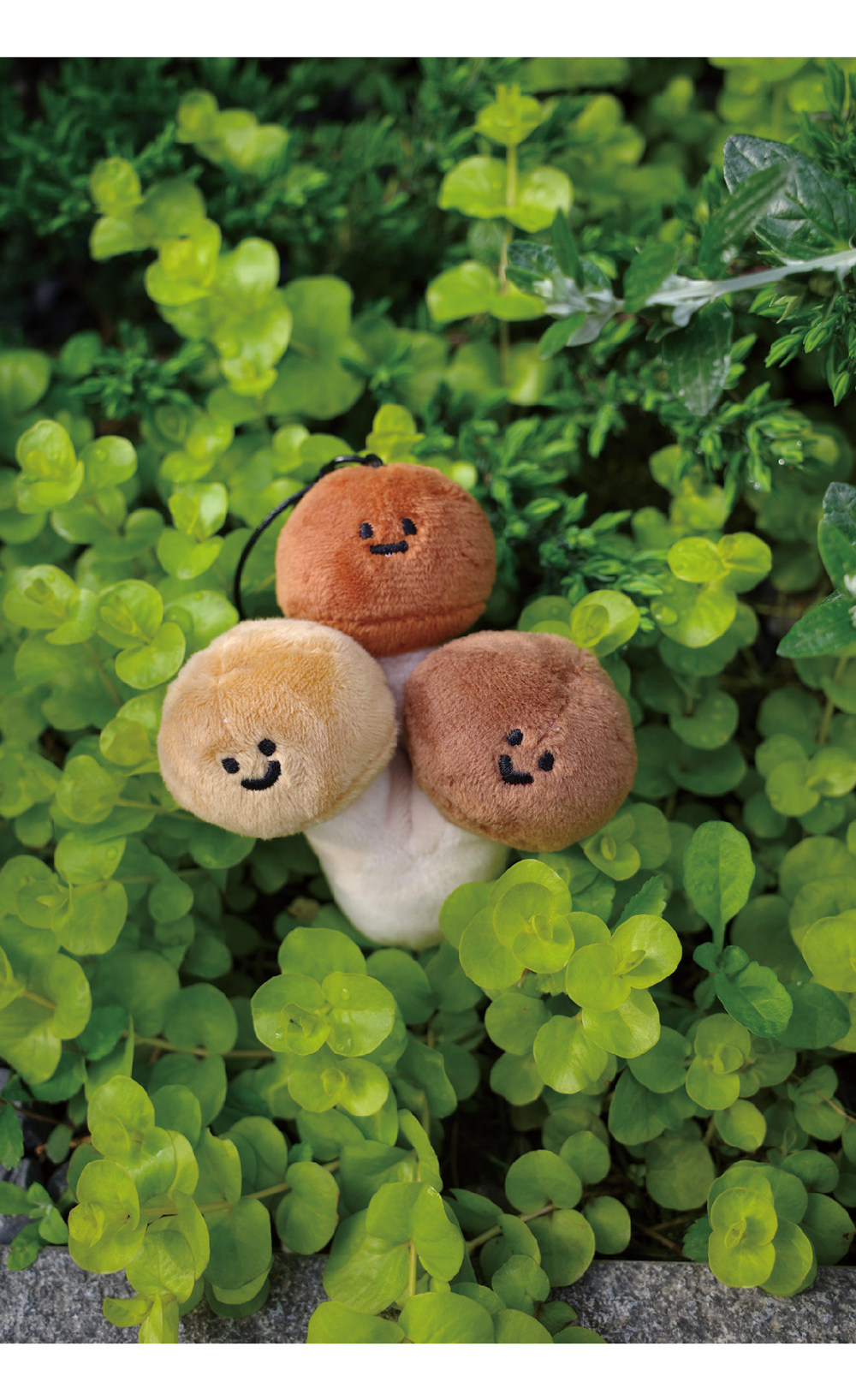 雨過山オリジナル ブナシメジのぬいぐるみキーホルダー かわいいキノコ