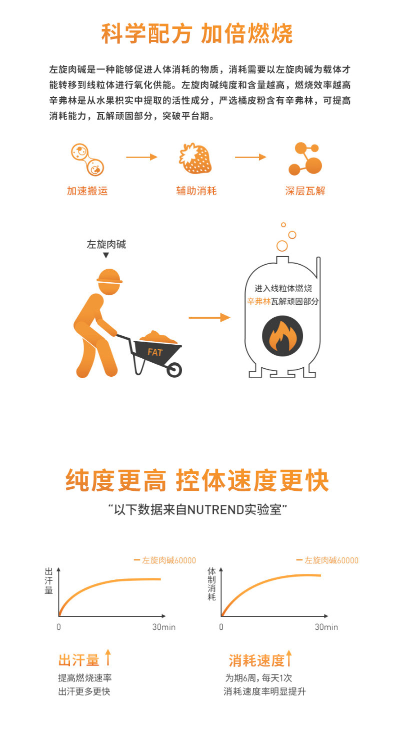 捷克 诺特兰德Nutrend 升级版高纯度液体左旋肉碱6万 500ml 图4