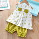 Girls Suits Summer Clothes 2024 New Children's Clothes Baby College Style Western Style Children's Shorts Cotton Shorts Tops Two-piece Set
