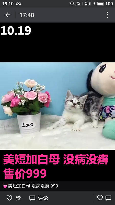 Другие 出售家养可爱粘人其它宠物品种齐全76