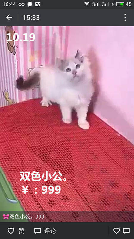 Другие 出售家养可爱粘人其它宠物品种齐全76