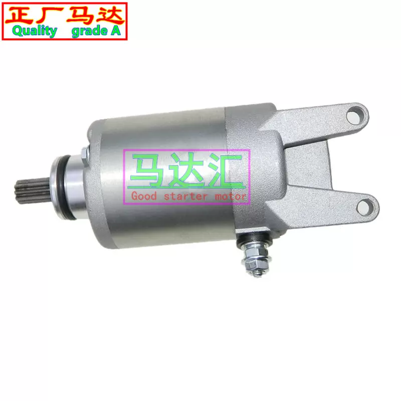 Подходящий стартовый двигатель для Zongshen Biyajiu GTS300 X7 Aprilia SR250 vespa300