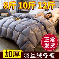 Northern sanding household down cotton quilt winter is thickened dormitory feather silk is soft and enlarged by new four seasons girls