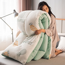 Newborn simple eight catties quilt winter quilt 200x230 winter comfortable mattress space quilt feather silk quilt thickened outdoor
