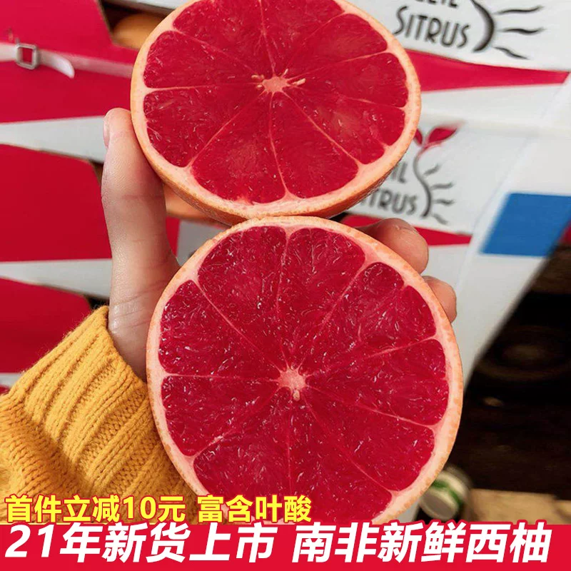 [South African red heart grapefruit small fruit 8 pcs fresh seasonal grapefruit for pregnant women]