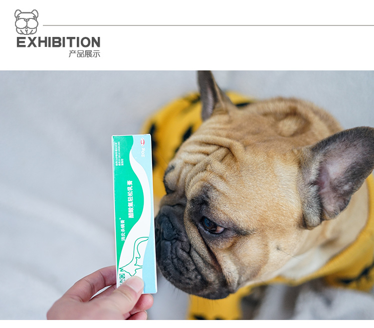 Golden Shield Kem chống viêm giết chó Bệnh da chó Kháng khuẩn ngứa Pet Pet Ngoài kem chống côn trùng mọt kem ngứa - Cat / Dog Medical Supplies súng tiêm thuốc