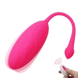 Пуль -вибраторы бывшие игрушки для дистанционного управления Han Wireless