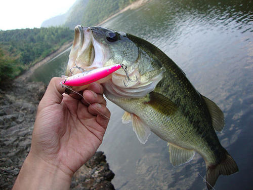 A special hyper-connection for the cost of post-postage remake