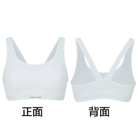 Фаза II-синий и белый AJ115E082