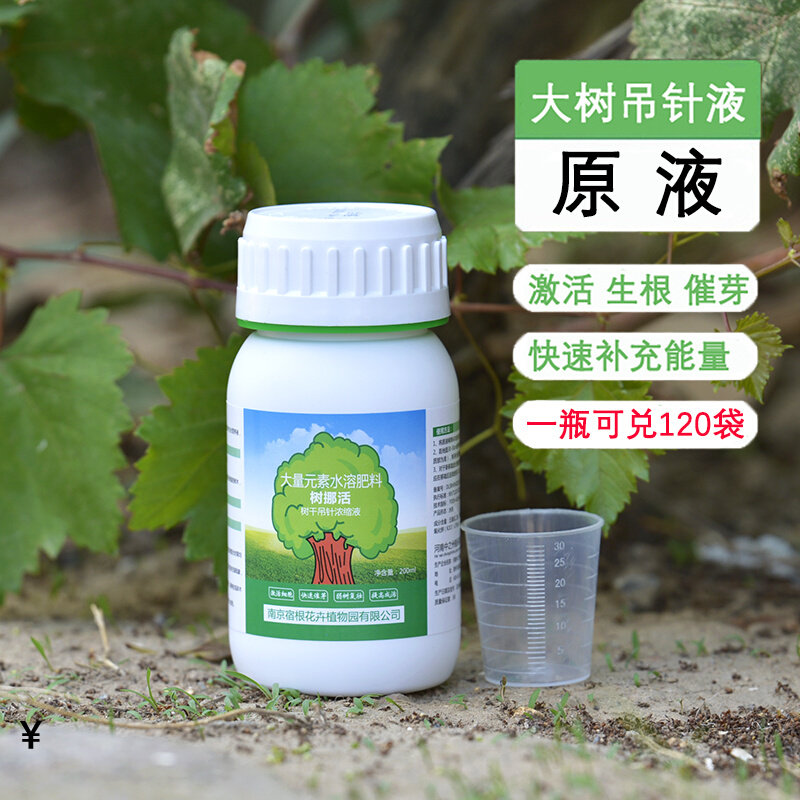 Tree transplanting hanging needle liquid raw liquid fruit tree hanging bag nutrient mother liquid mixed with 120 bags of it to live and rejuvenate ancient trees