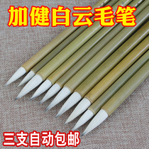 Jiajian Da Zhong Xiaobaiyun brush wholesale and Hao Chinese Painting Calligraphy introduction Student Gongbi Kaihu Pen Four treasures of Wenfang