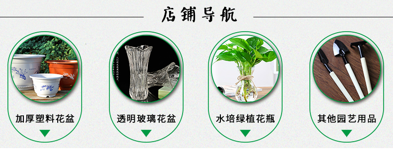 Nguồn cung cấp vườn, thủy canh, đồng, cỏ, cây xanh, hoa, trang trí màu ceramsite chậu đất nung trồng cây