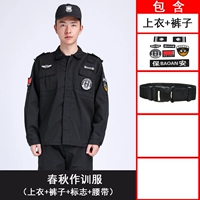 Весенние и осенние модели (вверху+брюки+логотип+ремень)