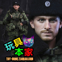 (Toy Home)Brand new spot DAMTOYS 78025 Russian airborne troops gunner DAM