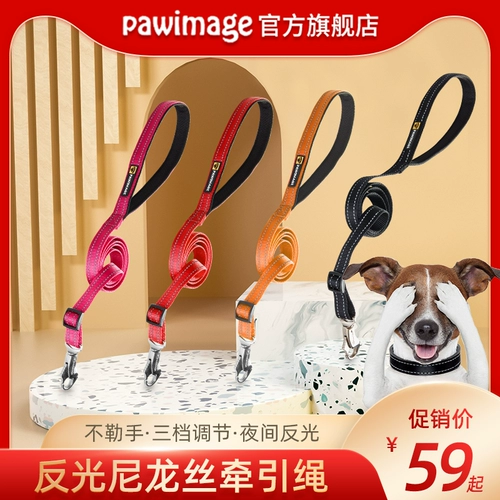 Pawimage Собака