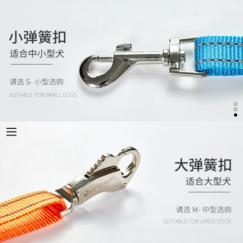 Pawimage Собака