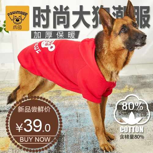 Золотая собака Mao Dog Большие собаки осень зимняя осень и зима Tedsama Huskyrabrado Pett Petts зимой