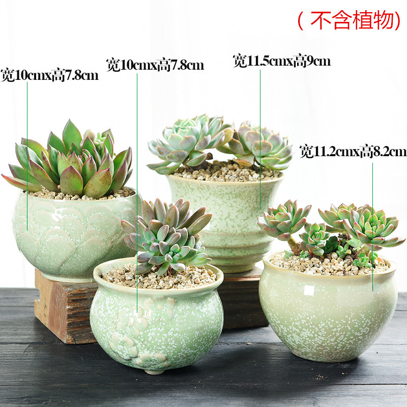 The Fleshy coarse pottery flowerpot ceramic creative special offer a clearance small old running the breathable large - diameter meat meat the plants flower pot