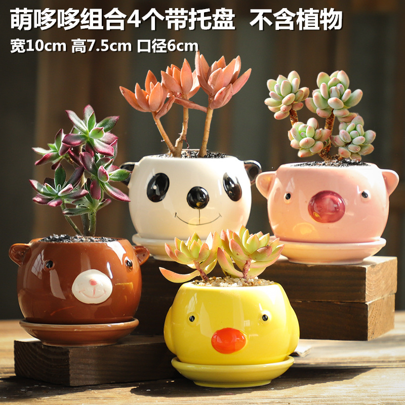 Special offer a clearance fleshy coarse pottery flowerpot old running of creative move contracted meat meat the plants breathable small flowerpot pack mail