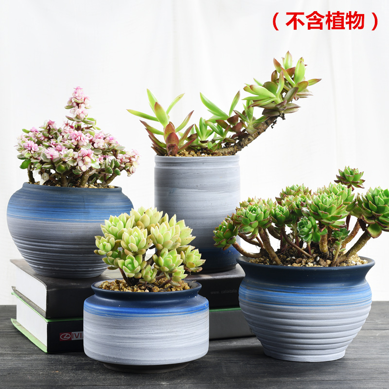Coarse pottery breathable purple ceramic large fleshy old running of large diameter creative meat meat special offer a clearance flower pot the plants