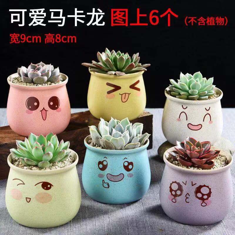 Korean special offer a clearance large fleshy flower pot ceramics large - diameter meat meat plant coarse pottery breathable creative flower pot