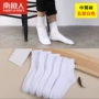 Vớ nam cực vớ nam mùa đông cotton nam vớ nam ống vớ khử mùi dài vớ cotton giúp vớ thấp - Vớ bông vớ off white