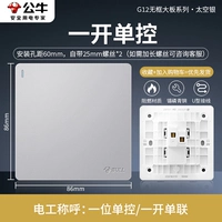 [Space Silver] Один открывающее одноконтроль (обновление 16A переноски)