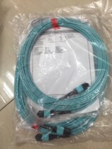 MPO TO MPO OM3 MTP12--MM10G Gigabit 12-core 50 125 10m15m20m
