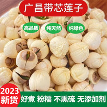 2023新鲜广昌特级有芯莲子干货250 500g江西农家自产手工带芯白莲