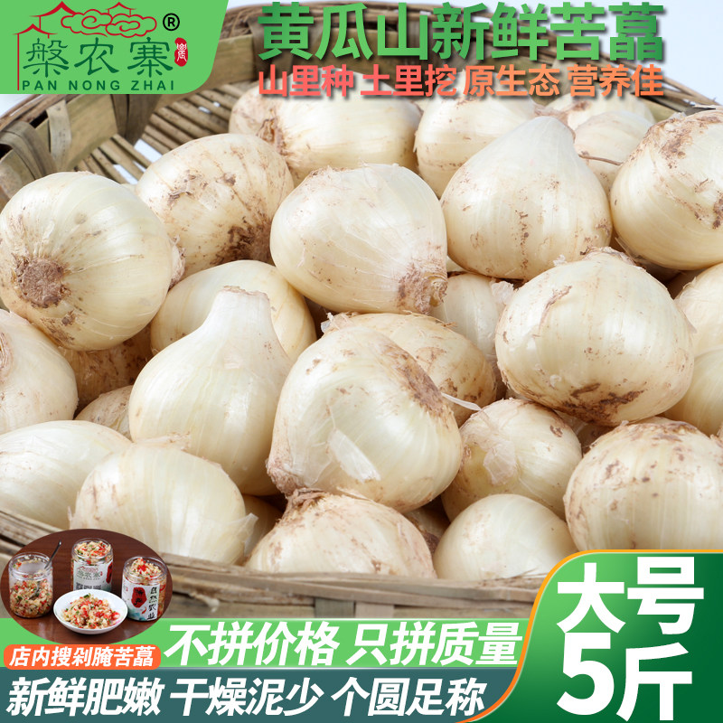 Large number of bitter Chinese onion Sichuan bitter pepper with fresh onion Sichuan bitter pepper and white Chongqing bitter called Xiaogan garlic Mountain wild scallion head 5 catty