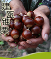 觅农人