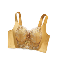 Catman Underwear Womens Small Breast Gathering and Enlargement Adjustable Anti-Sagging Sexy Lace Bra P1