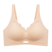 Catman underwear for women with small breasts push-up support anti-sagging accessory breasts soft support seamless beautiful back bra no steel ring