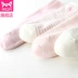 Mèo người 4 cặp hộp quà tặng ladies cotton chải kỹ vớ mồ hôi thấm thở đơn giản cô gái vớ vớ thuyền Bộ quà tặng