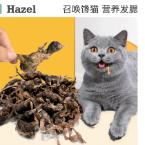 Pet kittens freeze-dried quail snacks cats eat staple meat hair gills fattening nutrition supplies pet freeze-dried