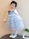 Girls' Long-Sleeved Princess-Style Dress, Kidsren's Blue Mesh Spring & Fall Cake Dress, Stylish Tutu Dress, Baby Dress
