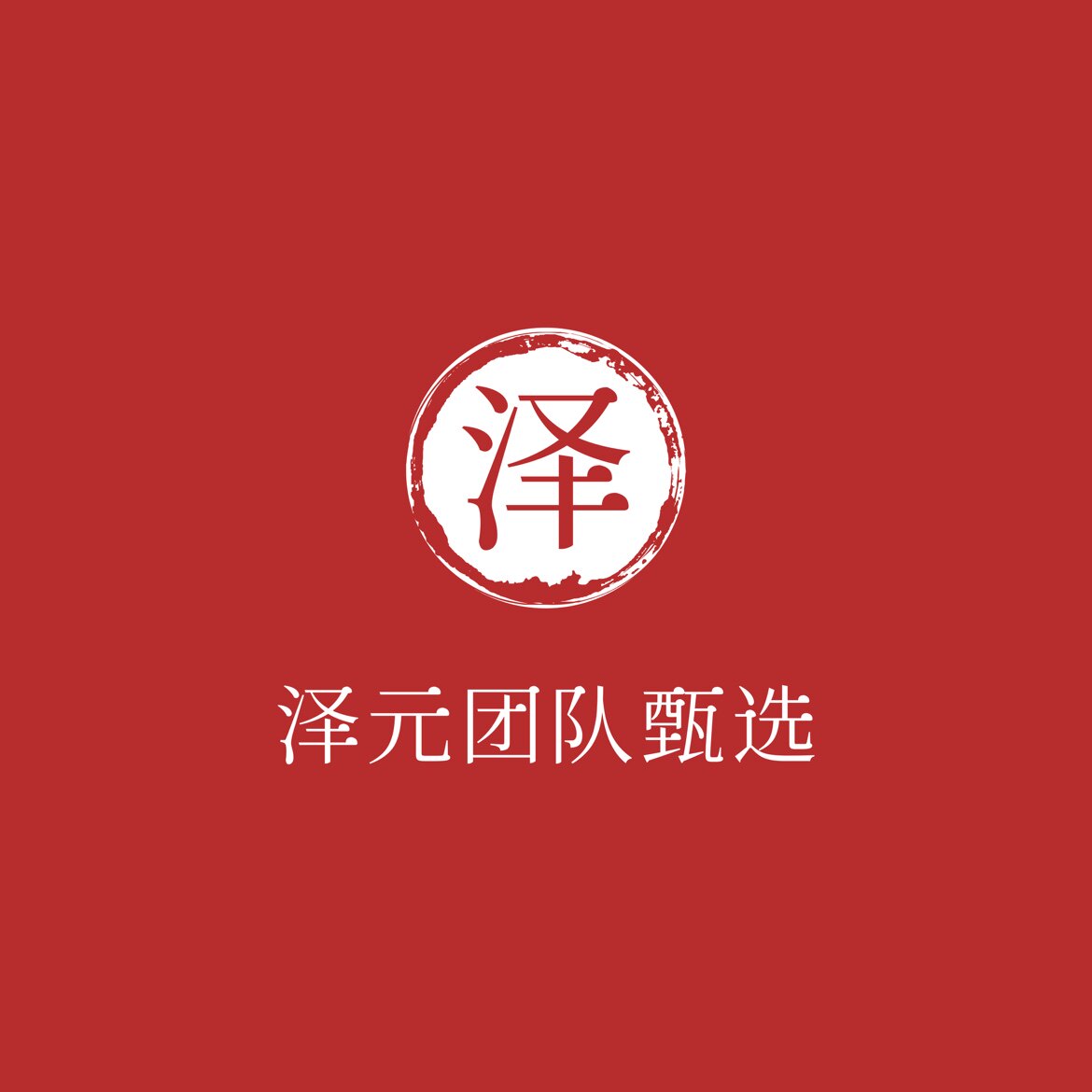 泽元团队甄选的LOGO