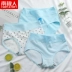 Đồ lót không kháng khuẩn của phụ nữ Nam Cực 100% cotton cạp cao bụng mỡ mm cộng với quần đùi tam giác cỡ giữa eo - Võ sĩ quyền Anh