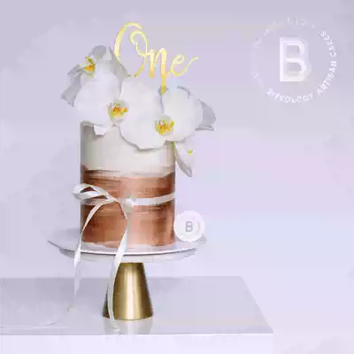 BITEOLOGY(GIFT of LIFE)C110 FLOWER GIRL NET CELEBRITY BIRTHDAY CAKE Beijing Shanghai SAME CITY