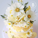 Bitelogy [Xiangyanghua] c186 Праздничный торт Новый продукт, перечисленный Пекин Шанхай, тот же город