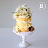 Bitelogy [Xiangyanghua] c186 Праздничный торт Новый продукт, перечисленный Пекин Шанхай, тот же город