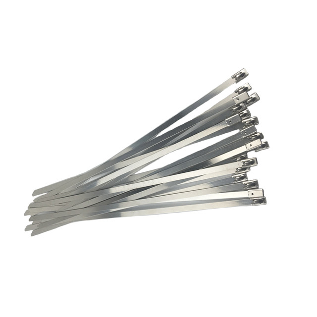304 stainless steel tie self-locking white steel tie 4.6*300/200mm metal buckle tie wire fixing strap