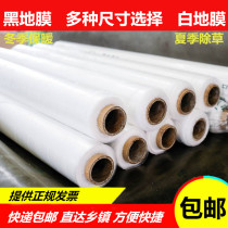 Plastic film agricultural white film thickening plastic film greenhouse film planting vegetable Orchard insulation moisturizing transparent white film