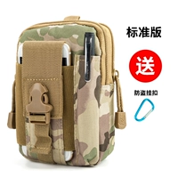 Стандартная модель CP