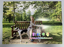 Ariel Wonderful Trip official poster spot