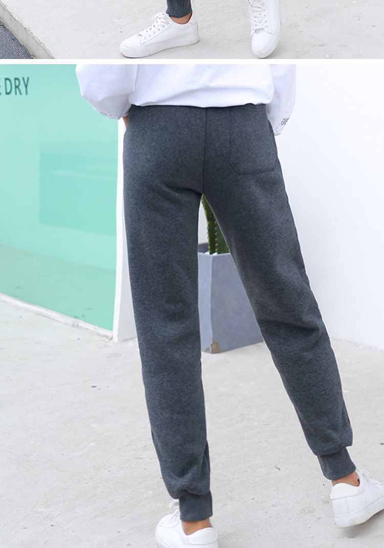 Mùa đông mới lamb cashmere dày cộng với quần thể thao nhung quần chân bảo vệ quần dài quần giản dị quần harem mỏng quần áo công sở nữ