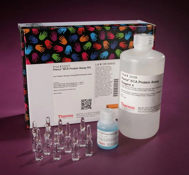 Thermo 23227，Pierce BCA Protein Assay Kit，500 mL