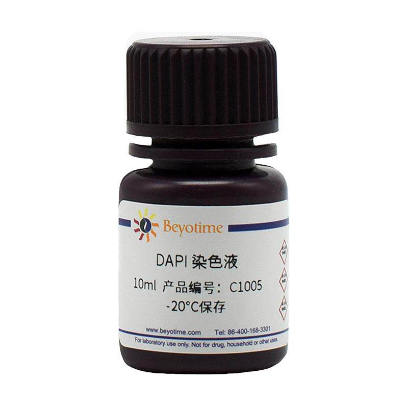 碧云天 C1005 DAPI染色液 C1006 C1006-200ml