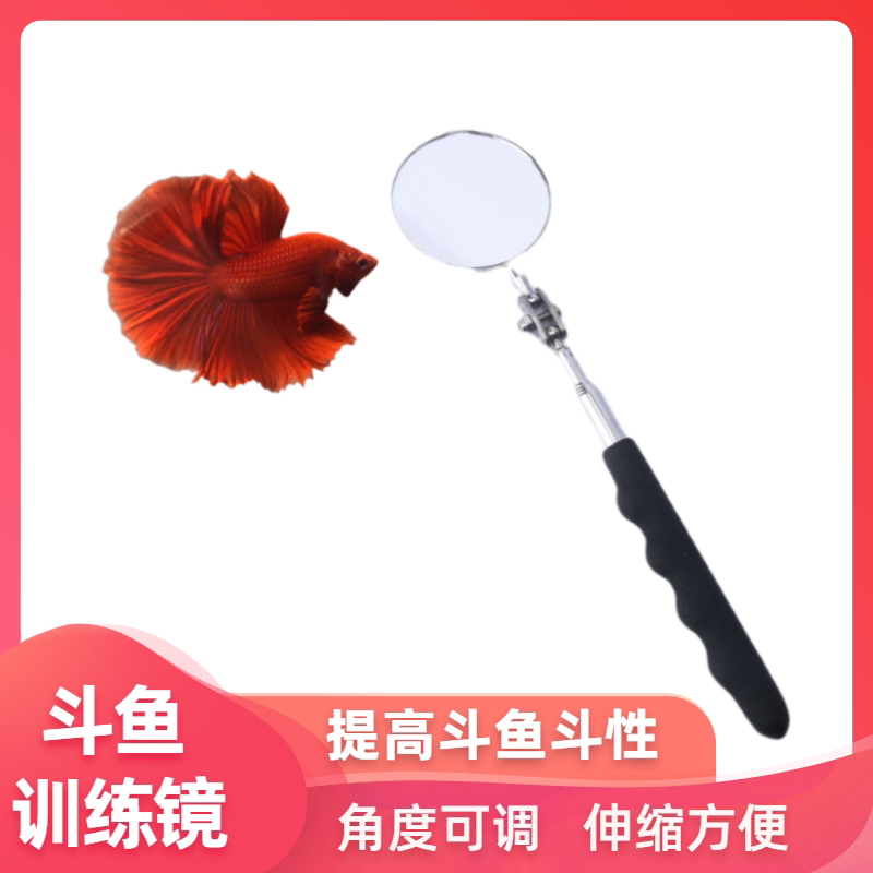 Fighting Fish Training Mirror Exercise Anti-Depression Fighting Fish Live Fish Special Fitness Mirror Stainless Steel Telescopic Bullfish Interactive Mirror