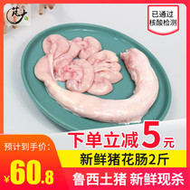 Peng big food Luxi soil pig fresh pig breed intestines 2kg fresh pig flower intestines pig intestines (non-large intestine)